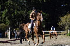 Riding Kiss in a Hunter Show Riding Kiss in a Hunter Show